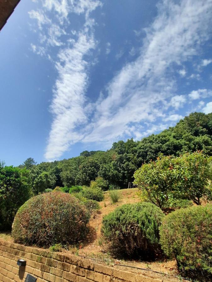 Apartamento Il Casolare Val Di Mare Riparbella Exterior foto